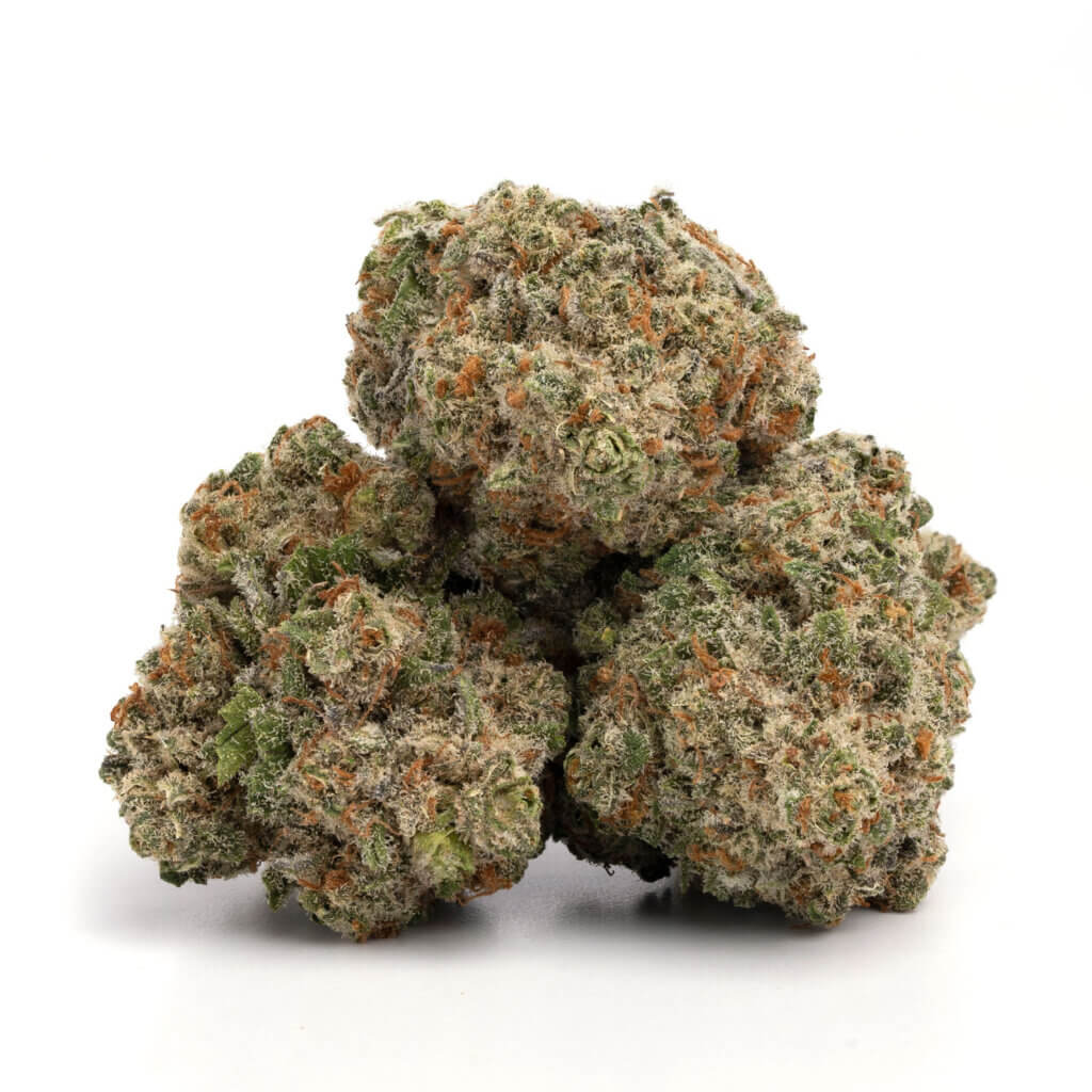 Jack Herer - Image 2