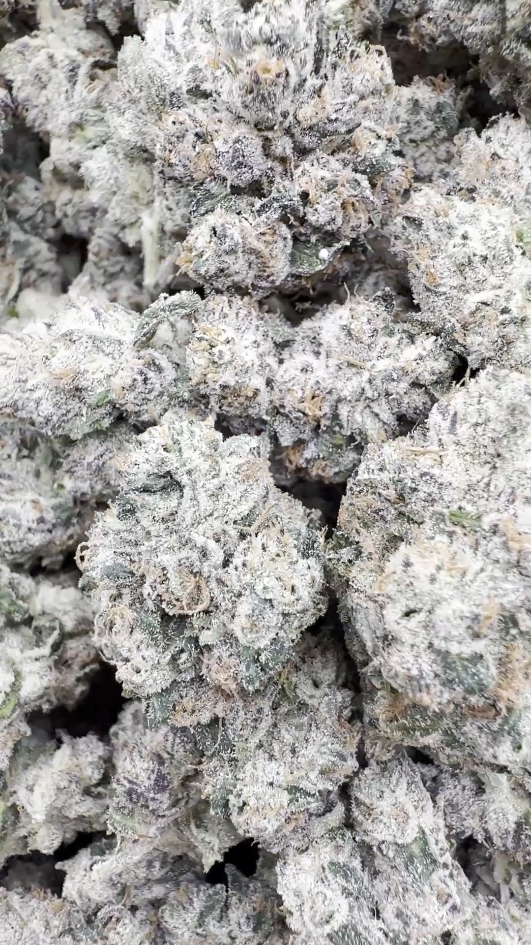 Indoor Exotic Dark Matter โ Hybrid โ Wholesale