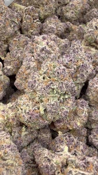 Purple Trainwreck Indoor Smalls